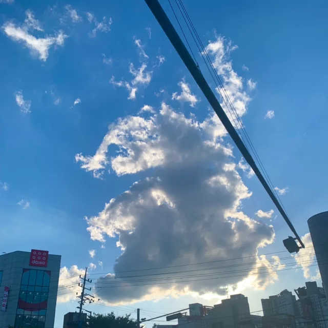 저렴이