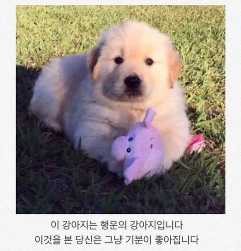 호잇