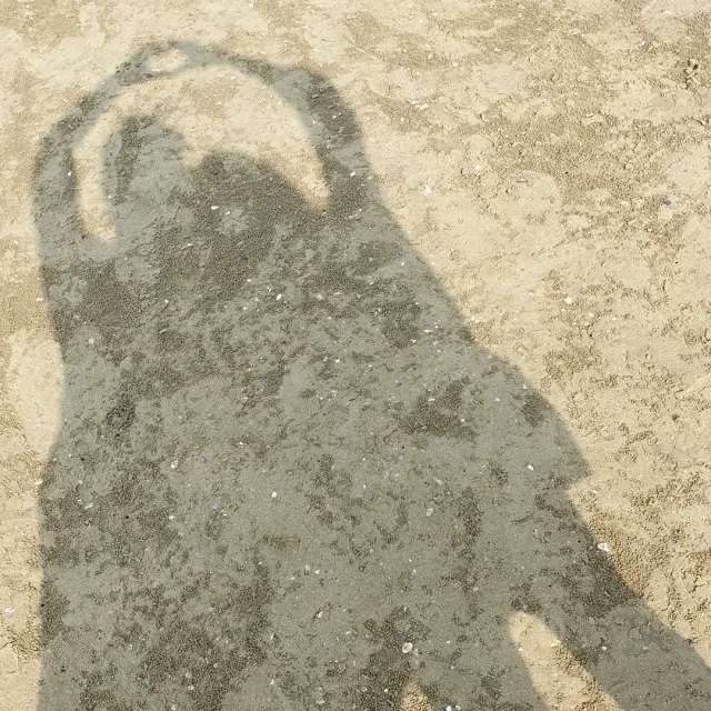 라임오렌지