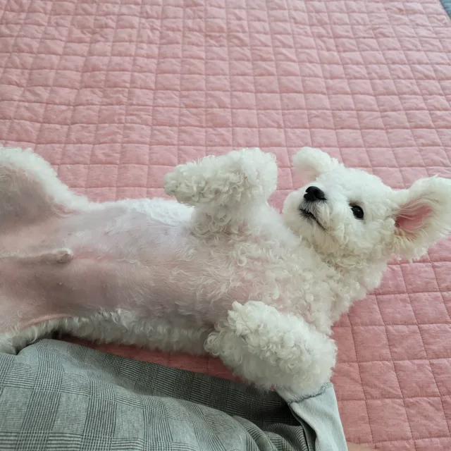 먼지