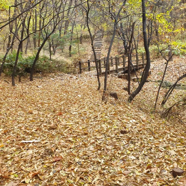 산4545