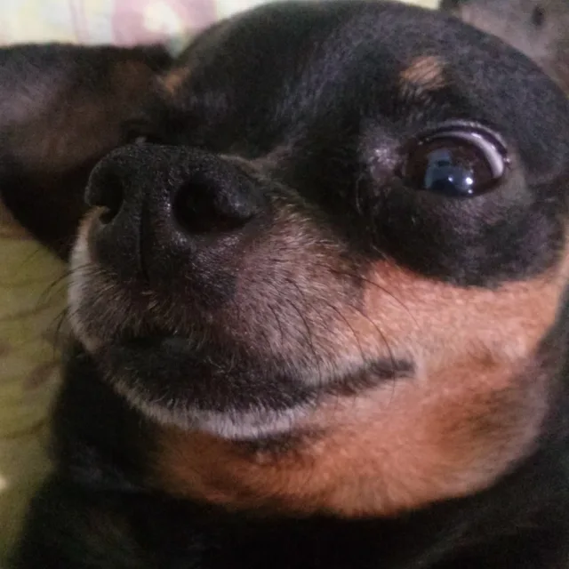 미니핀따라갈미니멀리스트