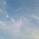슬기로운