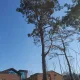 숲속