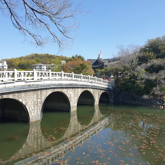 새댁써니