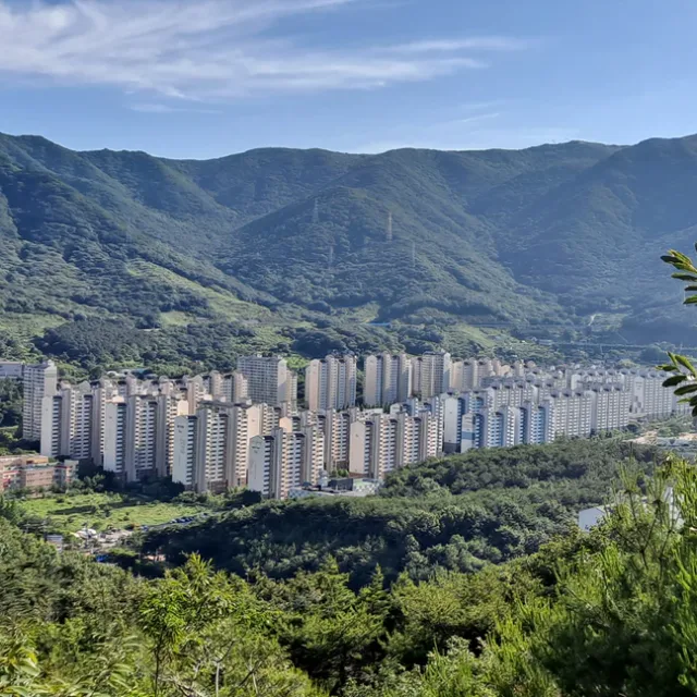 브루터스