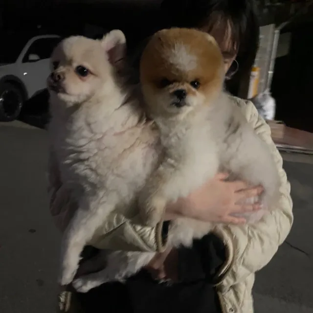 매너거래부탁해요
