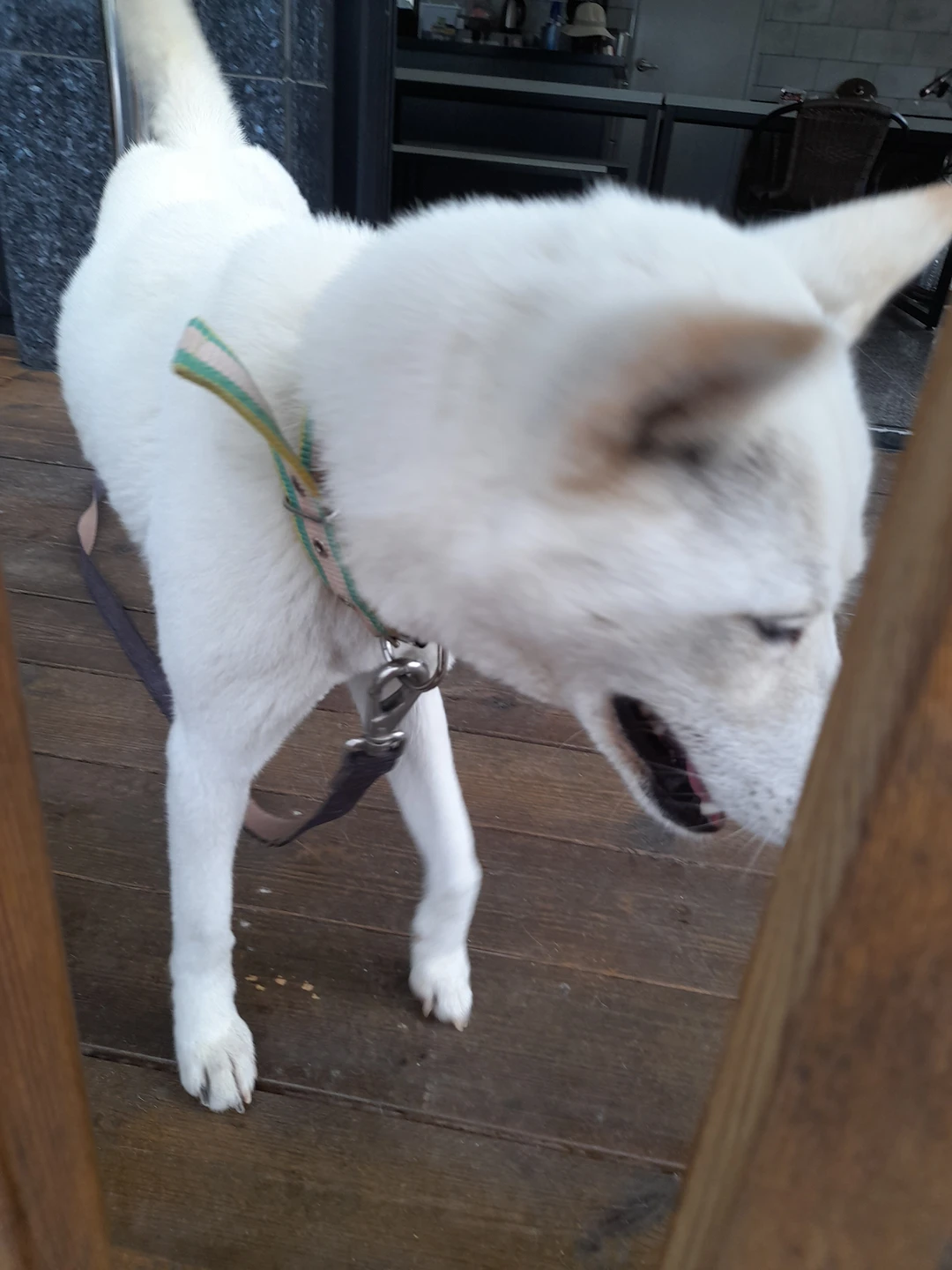 좋은거래용