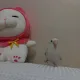 욜리욜리