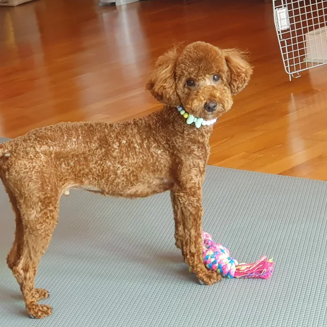 뚜기뚜기