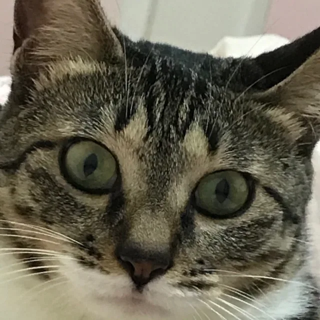 일방통행