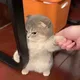 꾸꾸꽉깍