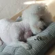 뿌쭈