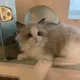 윤사장