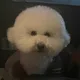 애토