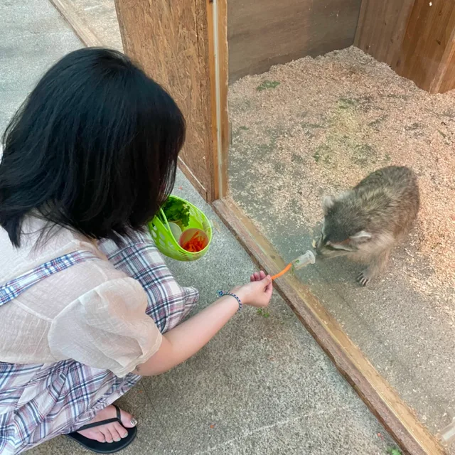 꼬물이야