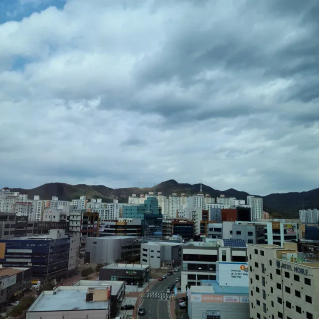 당근이야