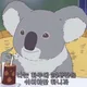 쏘삐