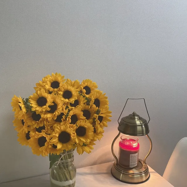 초코
