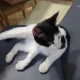 우유우유