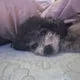 허허
