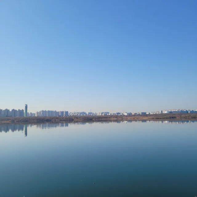 매너플레이