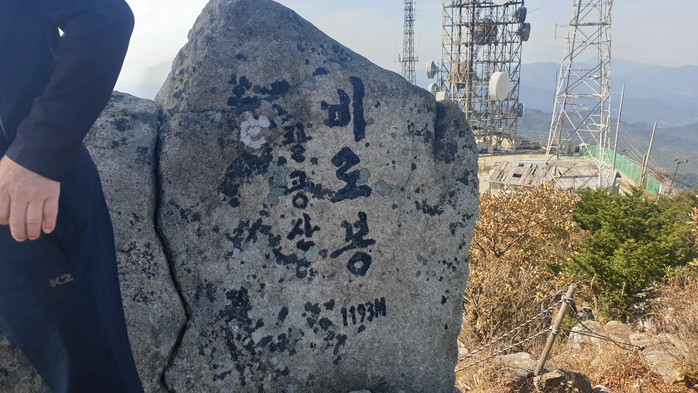 금싸라기