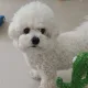 라헤리