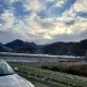 네넵