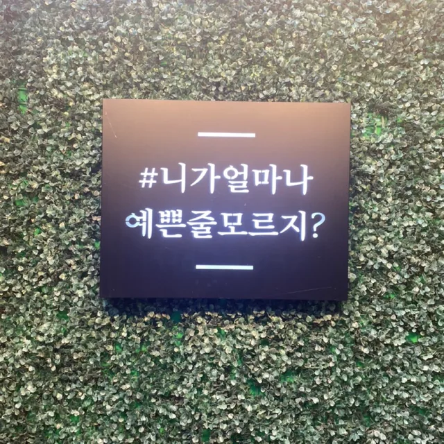 쏠로