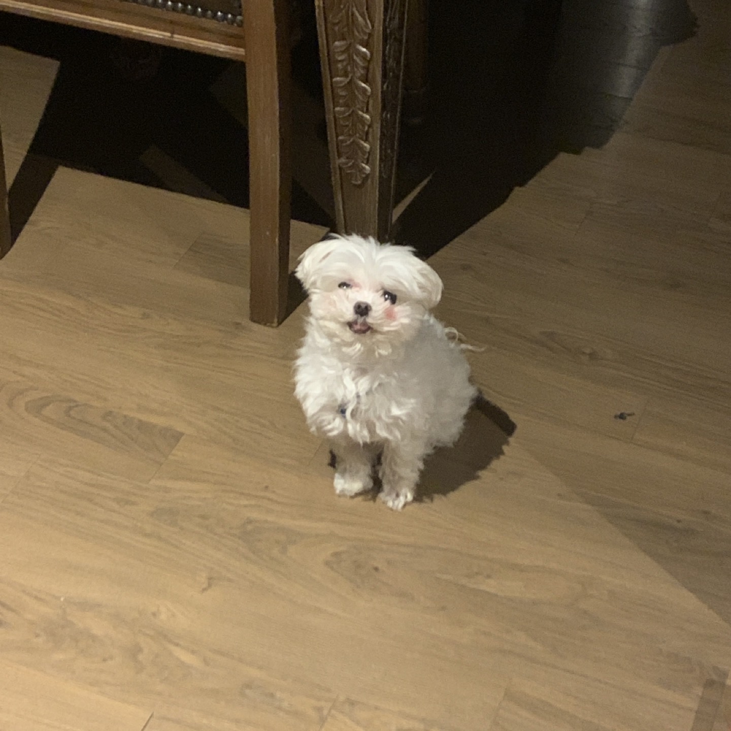 하느리형아