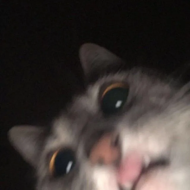 RM