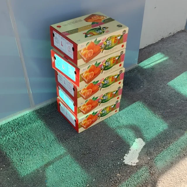 로트북