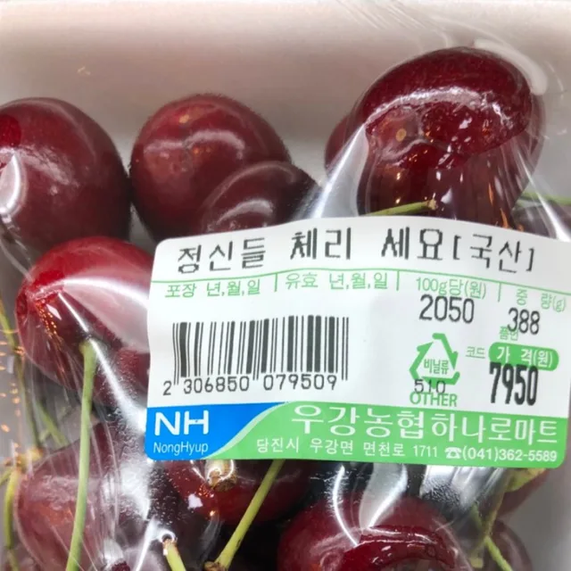 비글