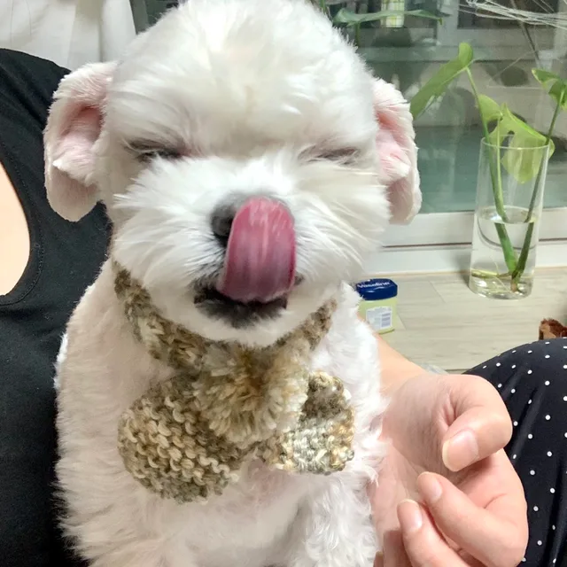 한사장