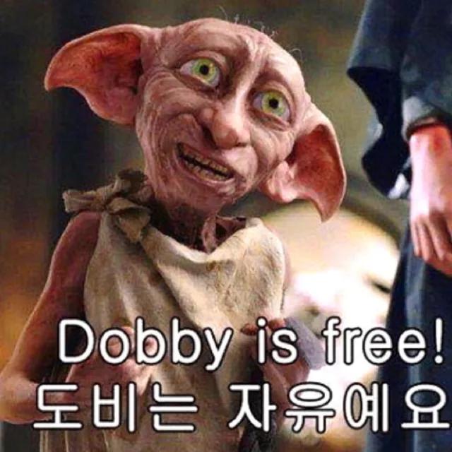 홍시