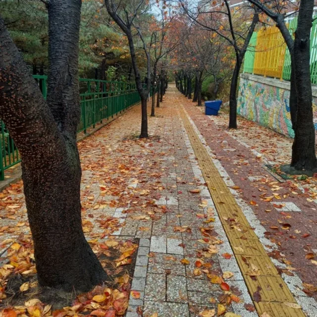 도레미