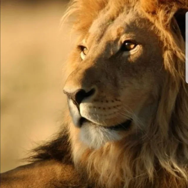 사랑방