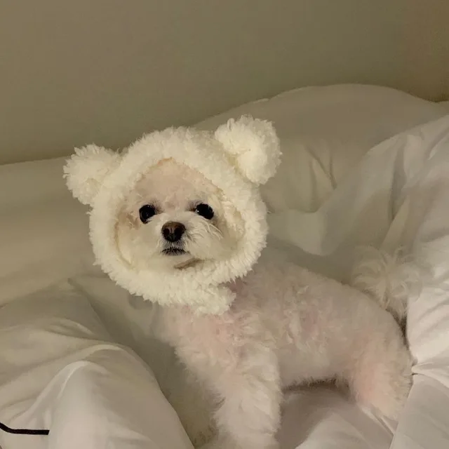 공백