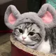 메옹