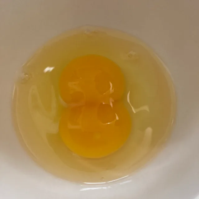 짝짜꿍