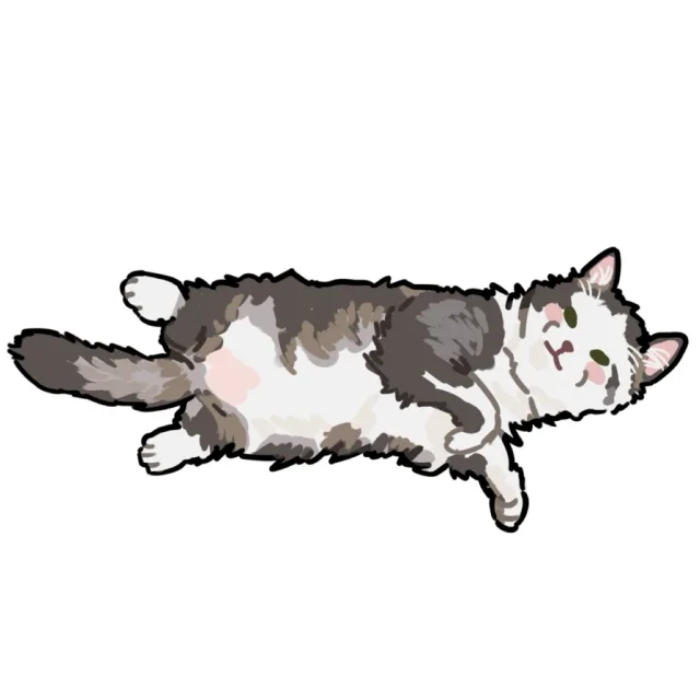 괭냥이