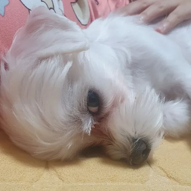 아따
