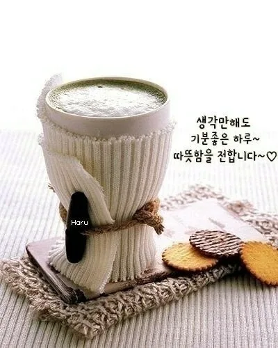 하루
