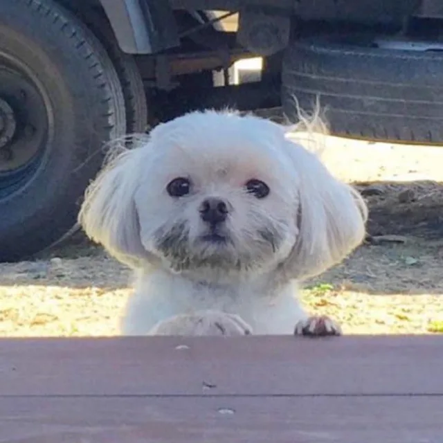 현재