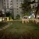 서로서로