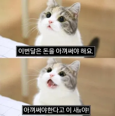 나나