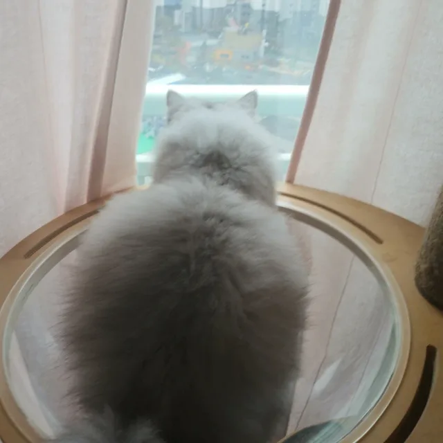 리모니