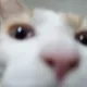 예띠