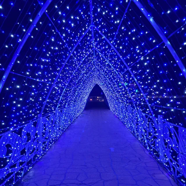 별헤는밤